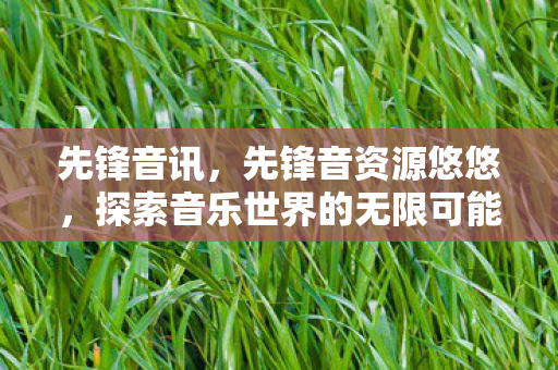 先锋音讯，先锋音资源悠悠，探索音乐世界的无限可能
