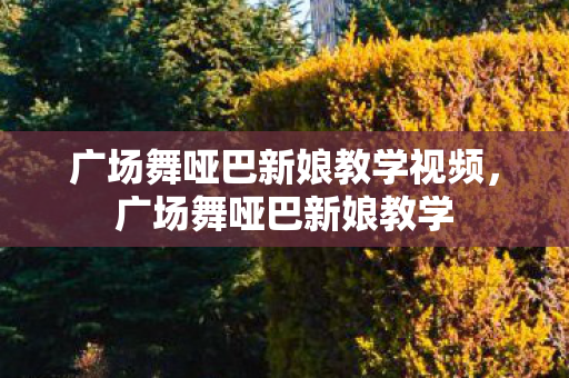 广场舞哑巴新娘教学视频，广场舞哑巴新娘教学