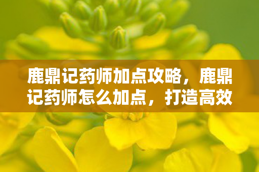 鹿鼎记药师加点攻略，鹿鼎记药师怎么加点，打造高效治疗团队的策略
