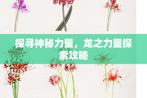 探寻神秘力量，龙之力量探索攻略
