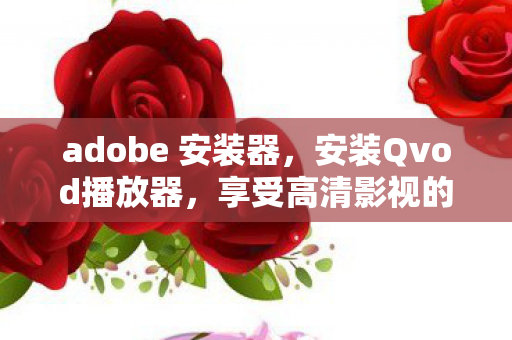 adobe 安装器，安装Qvod播放器，享受高清影视的便捷之旅