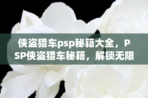 侠盗猎车psp秘籍大全，PSP侠盗猎车秘籍，解锁无限可能