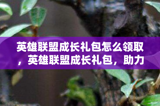 英雄联盟成长礼包怎么领取，英雄联盟成长礼包，助力玩家飞速成长