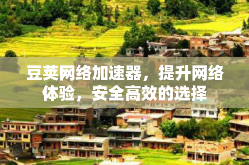 豆荚网络加速器，提升网络体验，安全高效的选择
