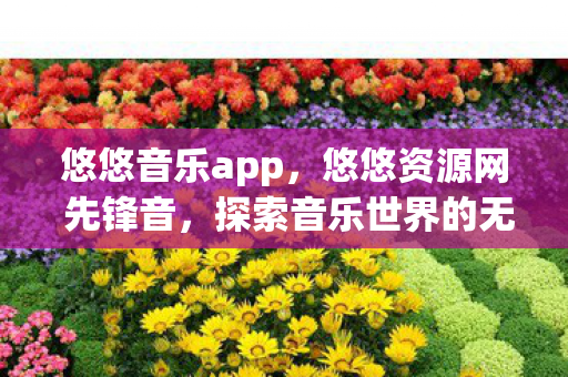 悠悠音乐app，悠悠资源网 先锋音，探索音乐世界的无限可能