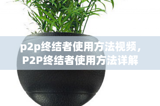 p2p终结者使用方法视频，P2P终结者使用方法详解