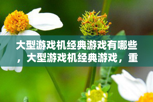 大型游戏机经典游戏有哪些，大型游戏机经典游戏，重温那些年的经典回忆