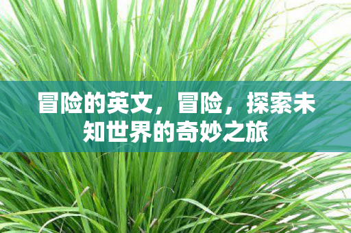 冒险的英文，冒险，探索未知世界的奇妙之旅