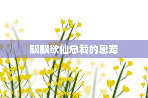 飘飘欲仙总裁的恩宠