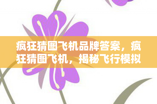 疯狂猜图飞机品牌答案，疯狂猜图飞机，揭秘飞行模拟游戏的魅力与乐趣