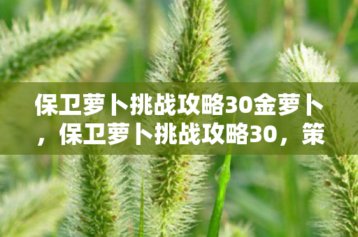 保卫萝卜挑战攻略30金萝卜，保卫萝卜挑战攻略30，策略与技巧的深度解析