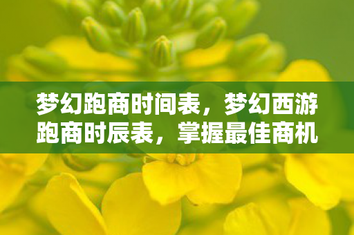 梦幻跑商时间表，梦幻西游跑商时辰表，掌握最佳商机，轻松致富