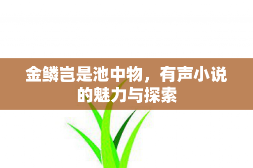 金鳞岂是池中物，有声小说的魅力与探索