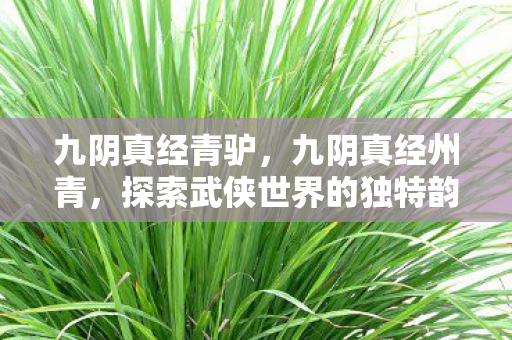九阴真经青驴，九阴真经州青，探索武侠世界的独特韵味