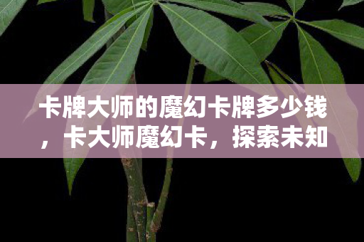卡牌大师的魔幻卡牌多少钱，卡大师魔幻卡，探索未知世界的奇幻之旅