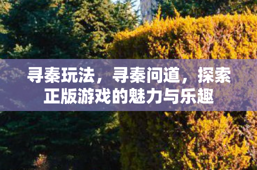 寻秦玩法,寻秦问道,探索正版游戏的魅力与乐趣 寻秦玩法,寻秦问道,探索正版游戏的魅力与乐趣