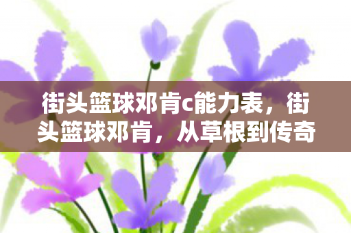 街头篮球邓肯c能力表，街头篮球邓肯，从草根到传奇的篮球之路