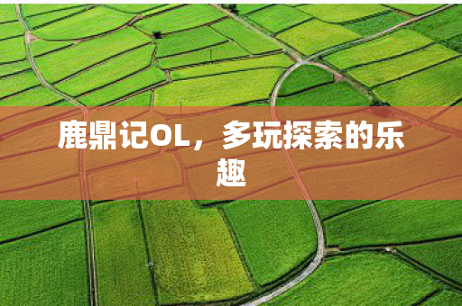 鹿鼎记OL,多玩探索的乐趣 鹿鼎记OL,多玩探索的乐趣