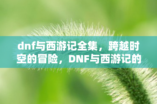 dnf与西游记全集，跨越时空的冒险，DNF与西游记的奇幻联动