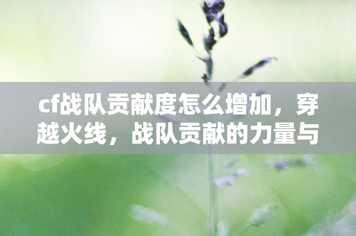 cf战队贡献度怎么增加,穿越火线,战队贡献的力量与荣耀 cf战队贡献度怎么增加,穿越火线,战队贡献的力量与荣耀