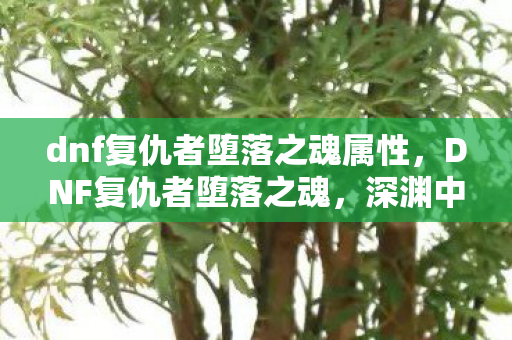 dnf复仇者堕落之魂属性，DNF复仇者堕落之魂，深渊中的黑暗觉醒