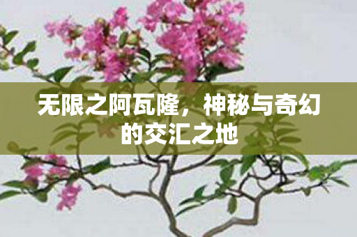 无限之阿瓦隆,神秘与奇幻的交汇之地 无限之阿瓦隆,神秘与奇幻的交汇之地