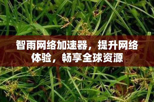 智雨网络加速器，提升网络体验，畅享全球资源