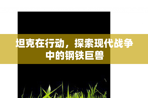 坦克在行动，探索现代战争中的钢铁巨兽
