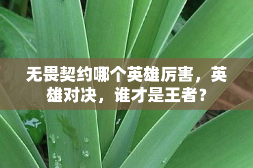 无畏契约哪个英雄厉害，英雄对决，谁才是王者？