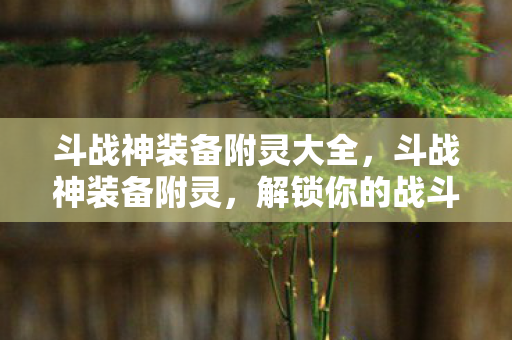 斗战神装备附灵大全,斗战神装备附灵,解锁你的战斗潜能 斗战神装备附灵大全,斗战神装备附灵,解锁你的战斗潜能