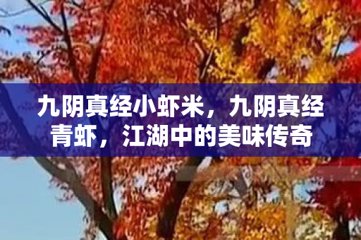 九阴真经小虾米,九阴真经青虾,江湖中的美味传奇 九阴真经小虾米,九阴真经青虾,江湖中的美味传奇