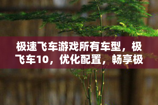 极速飞车游戏所有车型，极飞车10，优化配置，畅享极速驾驶体验