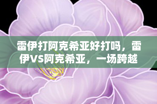 雷伊打阿克希亚好打吗，雷伊VS阿克希亚，一场跨越时空的激战