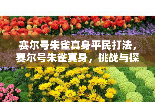 赛尔号朱雀真身平民打法，赛尔号朱雀真身，挑战与探索的奇幻之旅