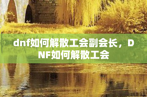 dnf如何解散工会副会长，DNF如何解散工会