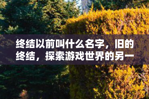 终结以前叫什么名字，旧的终结，探索游戏世界的另一面