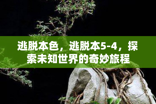逃脱本色，逃脱本5-4，探索未知世界的奇妙旅程
