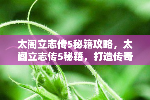 太阁立志传5秘籍攻略，太阁立志传5秘籍，打造传奇武将的秘诀