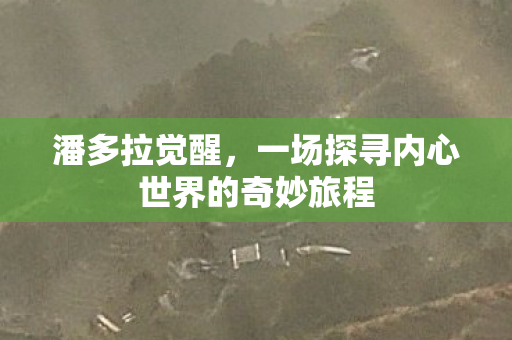 潘多拉觉醒，一场探寻内心世界的奇妙旅程