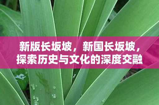 新版长坂坡,新国长坂坡,探索历史与文化的深度交融 新版长坂坡,新国长坂坡,探索历史与文化的深度交融