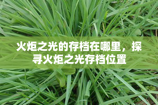 火炬之光的存档在哪里，探寻火炬之光存档位置