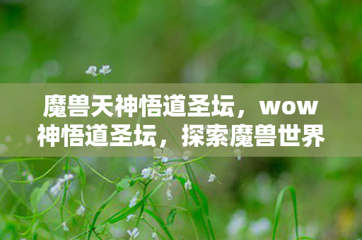 魔兽天神悟道圣坛，wow神悟道圣坛，探索魔兽世界的深度与广度