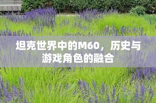 坦克世界中的M60,历史与游戏角色的融合 坦克世界中的M60,历史与游戏角色的融合