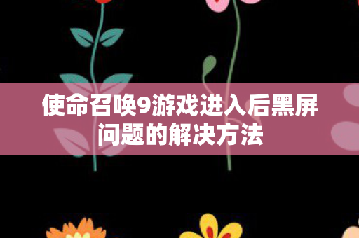 使命召唤9游戏进入后黑屏问题的解决方法