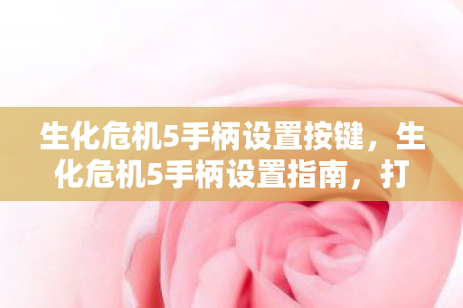 生化危机5手柄设置按键，生化危机5手柄设置指南，打造个性化游戏体验