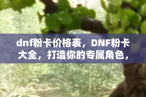dnf粉卡价格表，DNF粉卡大全，打造你的专属角色，提升战斗力的必备指南