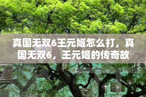 真国无双6王元姬怎么打，真国无双6，王元姬的传奇故事