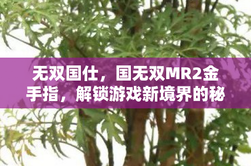 无双国仕，国无双MR2金手指，解锁游戏新境界的秘钥