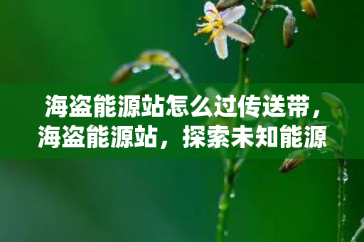 海盗能源站怎么过传送带，海盗能源站，探索未知能源，挑战传统能源格局
