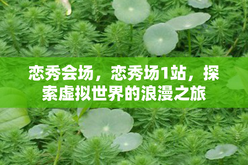 恋秀会场，恋秀场1站，探索虚拟世界的浪漫之旅